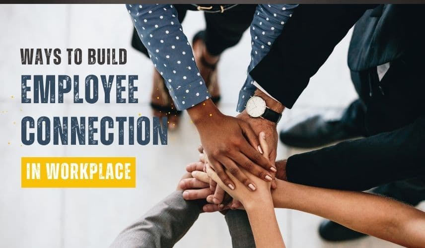 Employee Connection In The Workplace